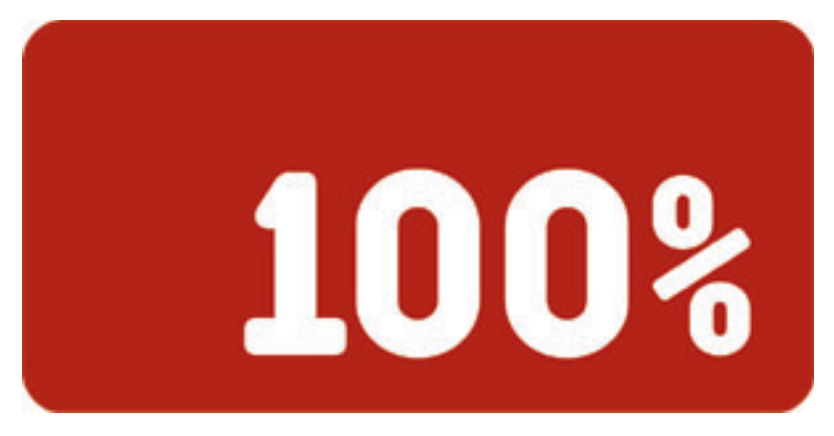 100% Nordic Logo